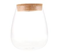 Abaodam Station de Multiplication des Plantes en Verre pour Culture Hydroponique Bouteille Terrarium Multifonctionnelle pour Décoration Intérieure et Extérieure
