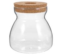Abaodam Terrarium en Verre Transparent pour Plantes Support en Bois, Conteneur D'écosystème pour Bureau ou Étude, Micro-Paysage Décoratif et Fonctionnel
