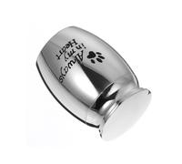 Abaodam Urne Funéraire en Acier Inoxydable, Boîte à Cendres pour Animaux, Argenté, Résistante la Corrosion, Légère et Portable, pour Animal de Compagnie, pour Personnes Ayant Perdu Leur