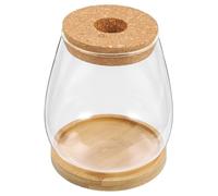 Abaodam Vase en Verre pour Plantes Succulentes Et Xerophytes pour Bureau Et Décoration Intérieure, Grand Format Support en Bambou 10 Cm, Conception Hydroponique Stable Et Multifonctionnelle