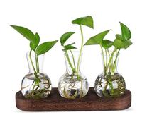 Abaodam Vase Verre Transparent pour Hydroponie Kit De Propagation avec Flacon Et Base Stable pour Bureau Et Table
