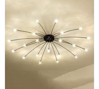 Abat-jour de style fleur, plafonnier lumineux, plafond d'étoiles d'art d'Europe du Nord,lumières suspendues