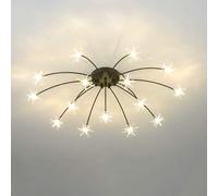 Abat-jour de style fleur, plafonnier lumineux, plafond d'étoiles d'art d'Europe du Nord,lumières suspendues