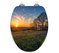 Abattant de toilette allongé en résine Texas Bluebonnet pour salle de bain