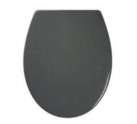 Abattant WC avec Frein de Chute Gris Cooke & Lewis Diani