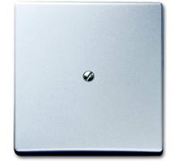 ABB 2138-33 Cache aluminium, aluminium banc (RAL 9006) 2CKA001710A3800