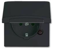 ABB 2CKA002064A0290 Insert IP44 gris-noir, anthracite