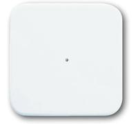 ABB 2CKA006730A0046 Interrupteur mural blanc pur (RAL 9010), blanc 6731-214