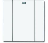 ABB 2CKA006730A0054 Interrupteur mural blanc, blanc signalisation 6731-84