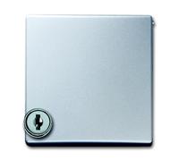 ABB Busch-Jaeger Adapter Plate With Lock For SI IP44 Alu - 2CKA001710A3789