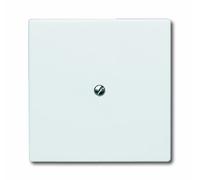 ABB Busch-Jaeger All-weather IP44 Control Element/Central Plate Switchgear - 2CKA001710A2264