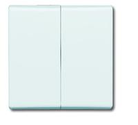 ABB Busch-Jaeger All-weather IP44 Control Element/Central Plate Switchgear - 2CKA001731A1601