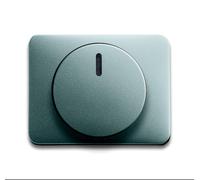 ABB Busch-Jaeger Alpha Control Element/Central Plate Switchgear - 2CKA006599A2855