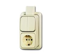 ABB Busch-Jaeger Combination Switch Socket With Mounting Plate - 2CKA001641A0234