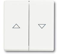 ABB Busch-Jaeger Future Control Element/Central Plate Switchgear - 2CKA001751A3022