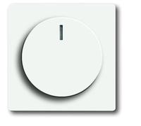 ABB Busch-Jaeger Future Control Element/Central Plate Switchgear - 2CKA006599A2961