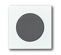 ABB Busch-Jaeger Future/Solo Control Element/Central Plate Switchgear - 2CKA008200A0081