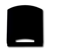 ABB Busch-Jaeger Matte Black Cover Plate 50x50mm 1746-885 - 2CKA001710A3898