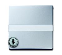 ABB Busch-Jaeger Plaque d'adaptation avec fente centrale IP44 - 2CKA001710A3796