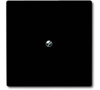 ABB Cache Cache anthracite, gris-noir 2CKA001710A1928 1 pc(s)