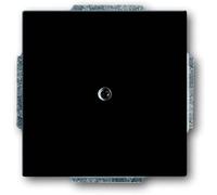 ABB Cache Cache anthracite, gris-noir 2CKA001710A3612 1 pc(s)