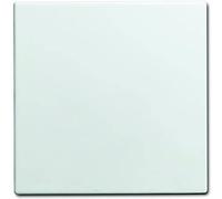 Busch-Jaeger Enjoliveur 1576 C de 914 blanc alpin Interrupteur Info Line Couverture/élément de commande pour installation Busch Programmes 4011395192580 blanc