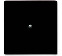 ABB Cache Cache marron 2CKA001710A3799 1 pc(s)