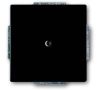 ABB Cache Cache noir profond (RAL 9005), noir 2CKA001710A3895 1 pc(s)