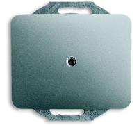 ABB Cache Cache titane 2CKA001710A3335 1 pc(s)