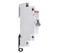 ABB Interrupteur compact 2CCA703005R0001 E211-16-20 2P 16A 250/415 V AC