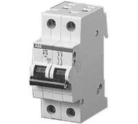 ABB-DISJ. 2P S202 C 20A