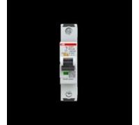 ABB Disjoncteur SX201-B25 Flexline B-Char.6kA 25A 1P (2CDS251003R0255)