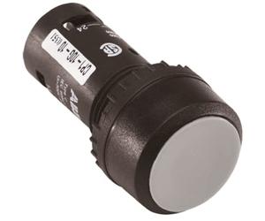 abb-entrelec CP1 - 10 W-10 - Poussoir compartiment rasante Blanc Opaque