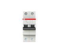ABB SH202-C63 Miniature Circuit Breaker - 2P - C -