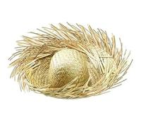Abbdbd Chapeau De Paille Hawaïen, Chapeau De Plage pour Hommes Femmes, Sombrero De Fermier Hawaïen pour Une Fête À Thème Estival