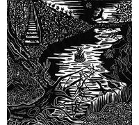 Abbott, Andrew Dr - Dead in Chellow Dean