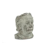 Abbott Collection Jardinière, Ciment, tête d'Einstein, Petit (20,3 cm de Hauteur)