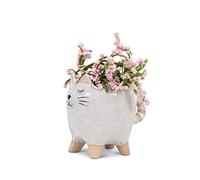 Abbott Collection Petit Pot de Fleurs en céramique avec Queue de Chat Blanc 10,2 cm