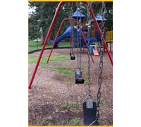 Abby And The Enchanted Dance Of The Park: A little girl who love to dance at the park. She is so talented.