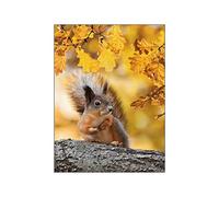 ABCWARRT Automne forêt Citrouille Feuilles D'érable Paysage Mur Art Toile Peinture écureuil Affiche Et Peinture Affiches Murales Salon Décor (50 * 70cm sans Cadre,8)