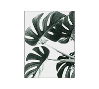 ABCWARRT Encre Monstera Plante Affiche Mur Art Toile Paon Peinture Nordique Palmier Affiche Bananier Feuille Photos pour Salle De Bain Décor (40 * 60cm sans Cadre,12)