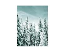 ABCWARRT Hiver shelling Mountain Water Art Peinture à l'huile Affiche Nordique Murale intérieur Salon Chambre canapé Mur décoration Peinture sans frontières (30 * 40cm sans Cadre,7)