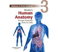 Abdomen & Pelvis Anatomy [1]