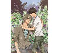 Abe Miyuki-Super Lovers (2 DVD) [Edizione: Giappone] [Import]