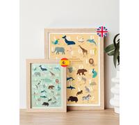 Abécédaire des animaux bilingue anglais corail