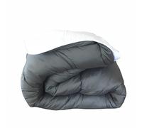Abeil Couette chaude bicolore 220 x 240 cm Blanc et gris
