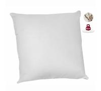 Lot De 2 Oreillers - 60 X 60 Cm - 100% Coton Bio - Abeil Blanc G