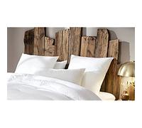 Abeil - Lot de 2 Oreillers Dourêve Absolu 60 x 60 cm - Moelleux et Gonflants - Enveloppe Microfibre Douce, Garnissage 100% Polyester Cyclafill® - Lavable en Machine - Certifiés Oeko-Tex