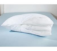 Abeil Oreiller Parfait 60 x 60 cm, fabriqué en France
