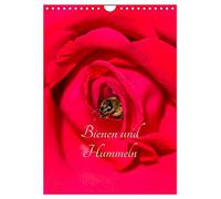 Abeilles et bourdons, Version française (Calendrier mural 2026 DIN A4 portrait), Calendrier CALVENDO mensuel